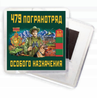 Магнит "479 ПогООН"