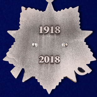 Медаль 100-летие Погранвойск в нарядном футляре из флока с прозрачной крышкой - купить с доставкой