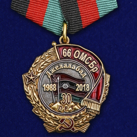 Медаль 30 лет вывода из Афганистана 66 ОМСБр
