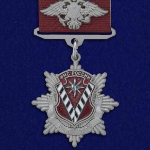 Медаль ФМС России За службу 2 степени