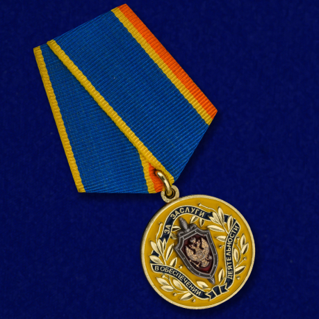 Медаль ФСБ РФ За заслуги в обеспечении деятельности - общий вид
