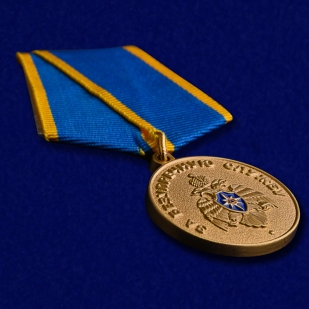 Медаль МЧС За безупречную службу - общий вид