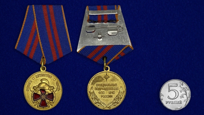 Медаль МЧС За особый вклад в обеспечение пожарной безопасности особо важных государственных объектов - сравнительный размер