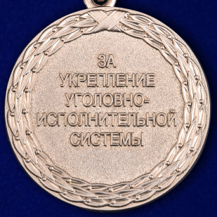 Медаль Минюст России "За укрепление уголовно-исполнительной системы" 2 степени в бархатистом футляре из флока