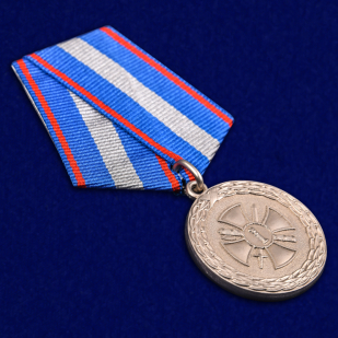 Медаль Минюста России За укрепление уголовно-исполнительной системы 2 степени - общий вид