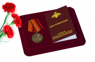 Медаль МО РФ Михаил Калашников