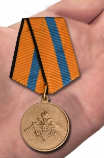 Медаль МО РФ Участнику борьбы со стихией на Амуре - вид на ладони