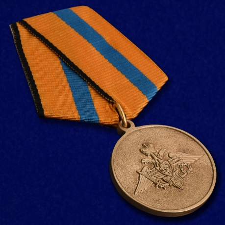 Медаль МО РФ Участнику борьбы со стихией на Амуре - общий вид