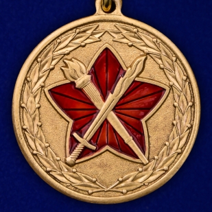 Медаль МО РФ За достижения в военно-политической работе