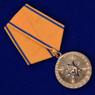 Медаль МВД РФ За смелость во имя спасения - общий вид