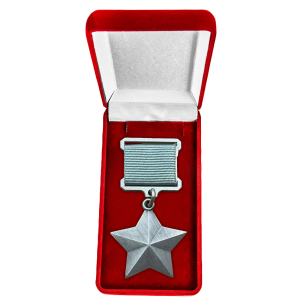Медаль "Платиновая звезда" Героя ЧВК Вагнер (Муляж) в бархатистом футляре