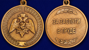 Медаль с символикой Росгвардии За заслуги в труде - аверс и реверс