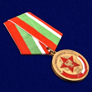 Медаль "Северная группа войск" в футляре из бархатистого флока - общий вид