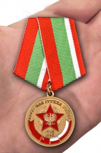 Медаль "Северная группа войск" в футляре из бархатистого флока - вид на ладони
