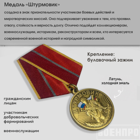 Памятная медаль "Штурмовик"