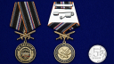 Медаль "За заслуги" Охрана - сравнительный размер