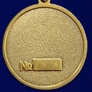 Медаль "Участник боевых действий на Северном Кавказе" 1994-2004 - реверс