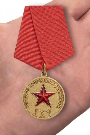 Медаль Ветеран поискового движения СНГ - вид на ладони
