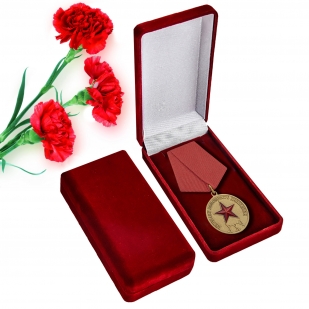 Медаль ветерану поискового движения