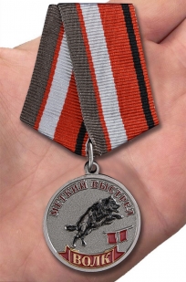 Медаль Волк (Меткий выстрел) на подставке - вид на ладони