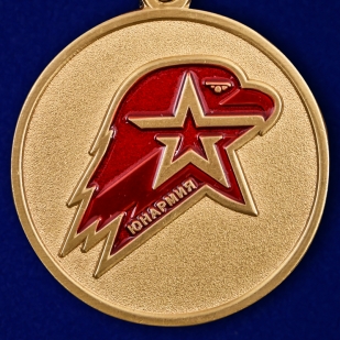 Медаль Юнармии 1 степени в футляре с удостоверением