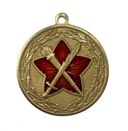 Медаль "За достижения в военно-политической работе" 