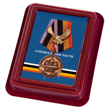 Медаль За службу Отечеству Специальные части ВМФ - в футляре