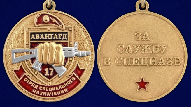 Медаль За службу в 17 ОСН Авангард в футляре с удостоверением