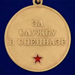 Медаль За службу в 19 ОСН Ермак на подставке