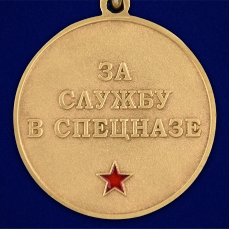 Медаль За службу в 19-ом ОСН "Ермак" - недорого