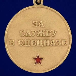 Медаль За службу в 28 ОСН Ратник на подставке