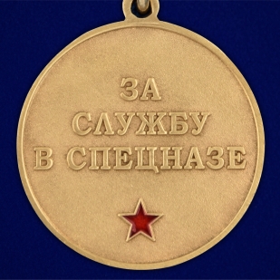 Медаль За службу в 29 ОСН Булат в футляре из флока
