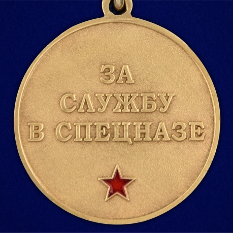 Медаль За службу в 29 ОСН Булат в футляре с удостоверением