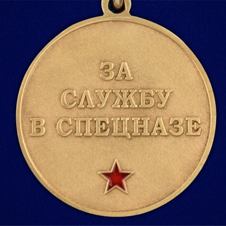 Медаль За службу в 30-м ОСН "Святогор" - в Военпро