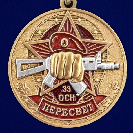 Медаль За службу в 33-м ОСН "Пересвет" - в Военпро