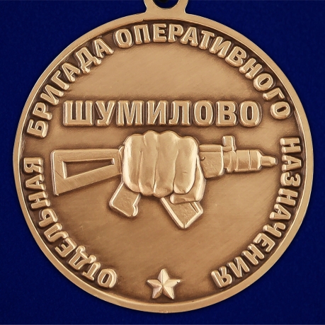 Медаль За службу в 34 ОБрОН - реверс