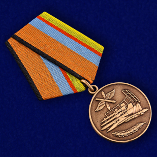 Медаль За службу в Военно-воздушных силах МО России - общий вид