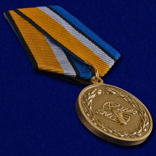 Медаль За службу в войсках РЭБ в футляре с удостоверением - общий вид