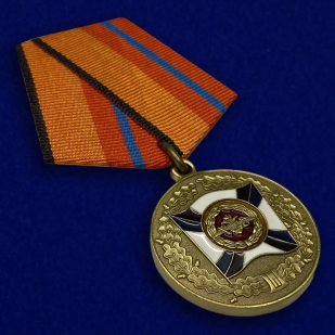 Медаль «За трудовую доблесть» МО - общий вид.