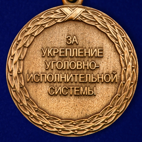 Медаль "За укрепление уголовно-системы" 1 степени Минюст РФ в бархатистом футляре из флока