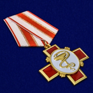 Медаль За заслуги в медицине в футляре с удостоверением - общий вид