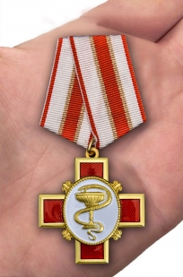 Медаль За заслуги в медицине в футляре с удостоверением - вид на ладони