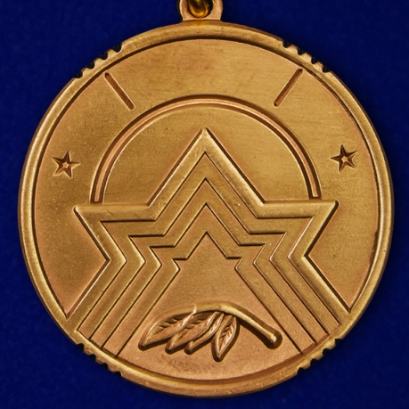 Медаль "За заслуги в поисковом деле"