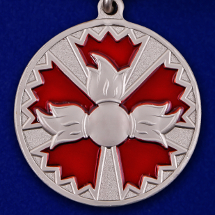 Медаль За заслуги в специальной деятельности с удостоверением