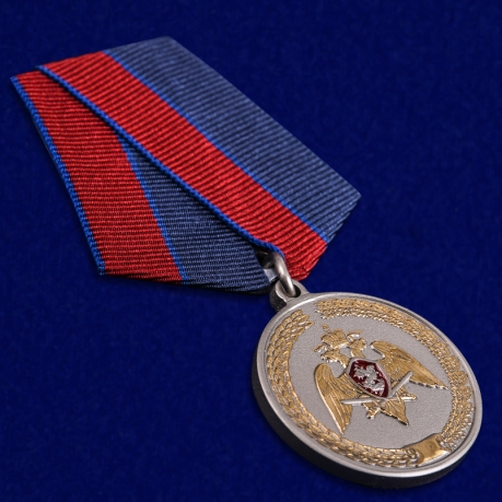 Медаль За заслуги в укреплении правопорядка Росгвардия - общий вид