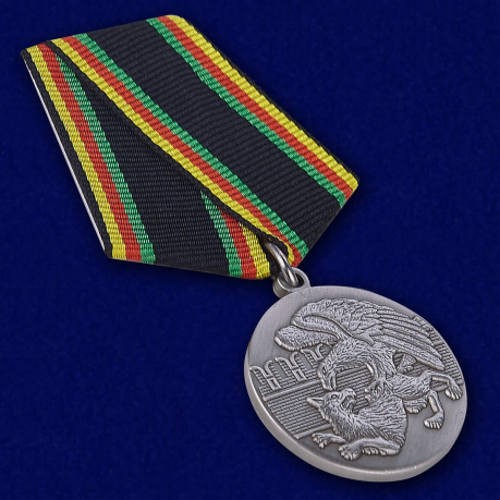 Медаль Защитнику Отечества - общий вид
