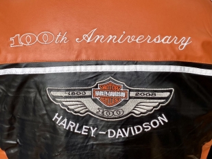 Мужская куртка Harley-Davidson