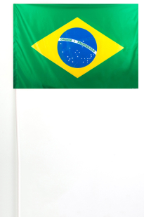 Флажок Бразилии на 15х23 см на палочке