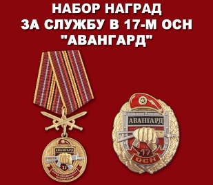 Набор наград 17 ОСН "Авангард"