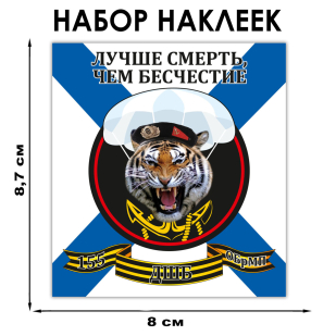 Набор наклеек "Десантно-штурмовой батальон 155 ОБрМП"